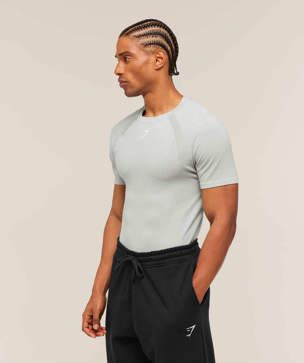 Shadow Seamless T Shirt - Light Grey